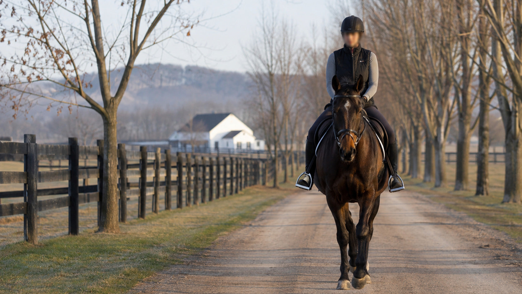 Horse and rider marching at a walk on straight even footing in early spring