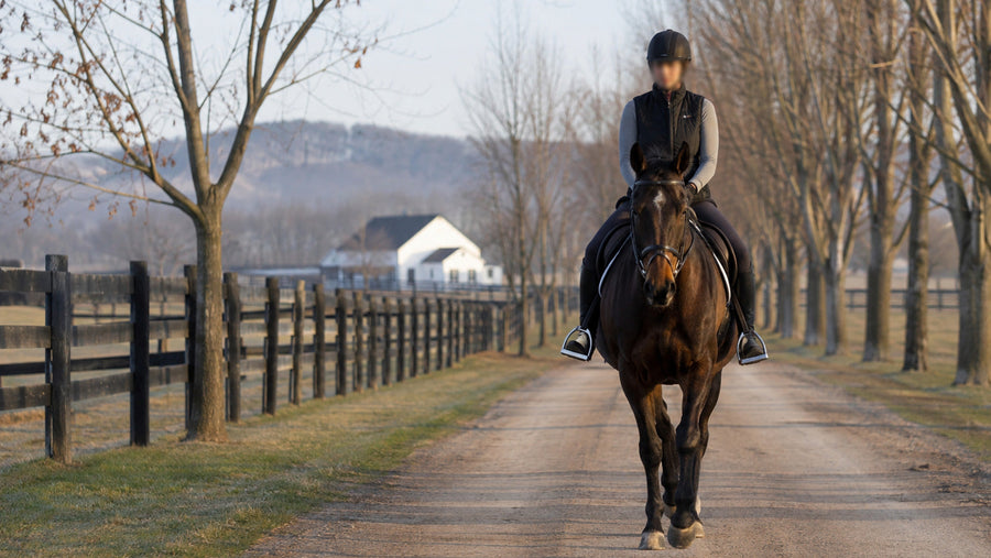 Horse and rider marching at a walk on straight even footing in early spring