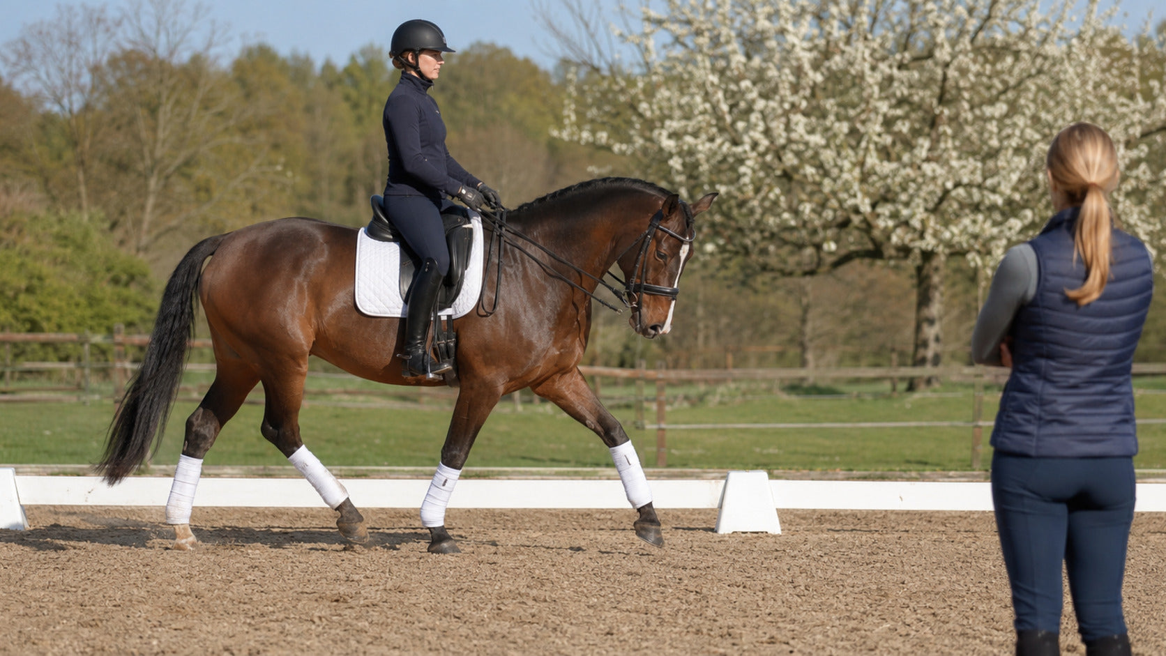 Horse and rider completing a controlled straight-line fitness baseline with a trainer