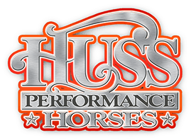 #TeamDiO Spotlight: Huss Performance Horses - Draw it Out®