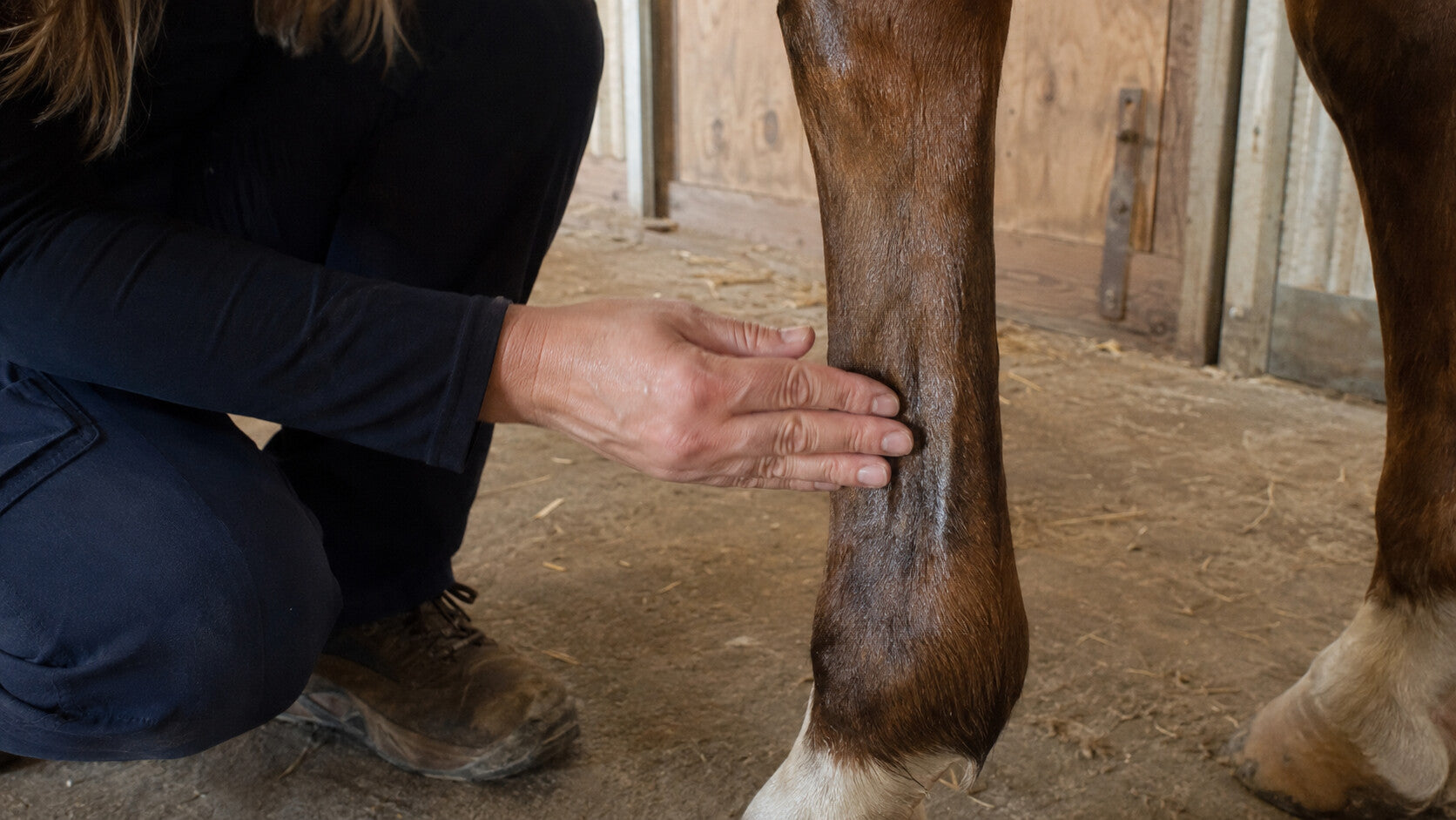 Horse owner applying a small amount of clear gel to a lower leg
