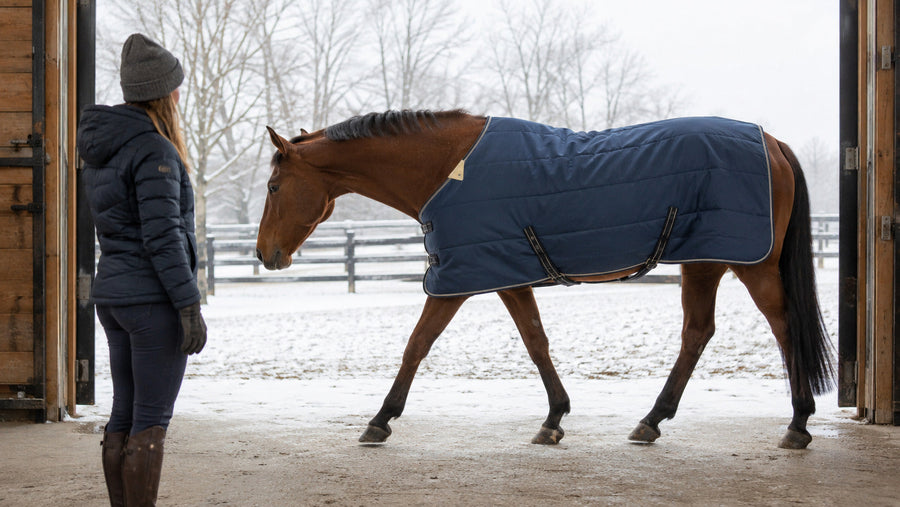 Horse owner watching shoulder movement while checking a winter blanket fit
