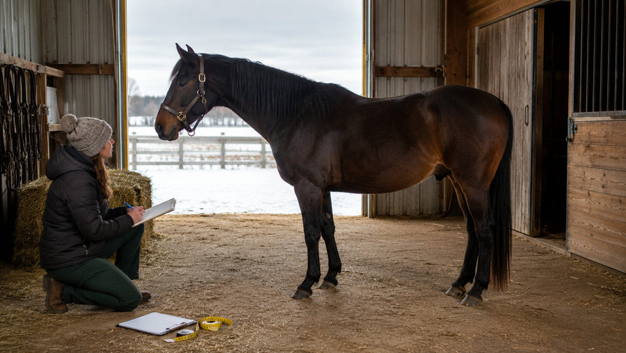 Horse owner making January baseline notes in a winter barn