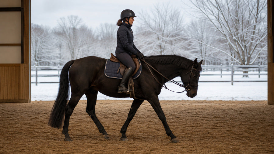 Horse walking on a long rein during a winter warm-up