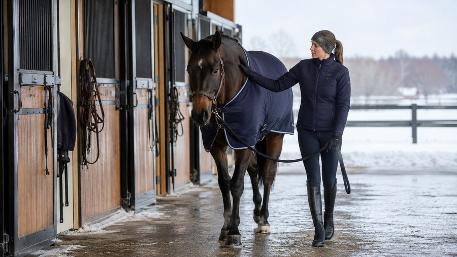 Horse walking in a cooler during a winter after-ride routine