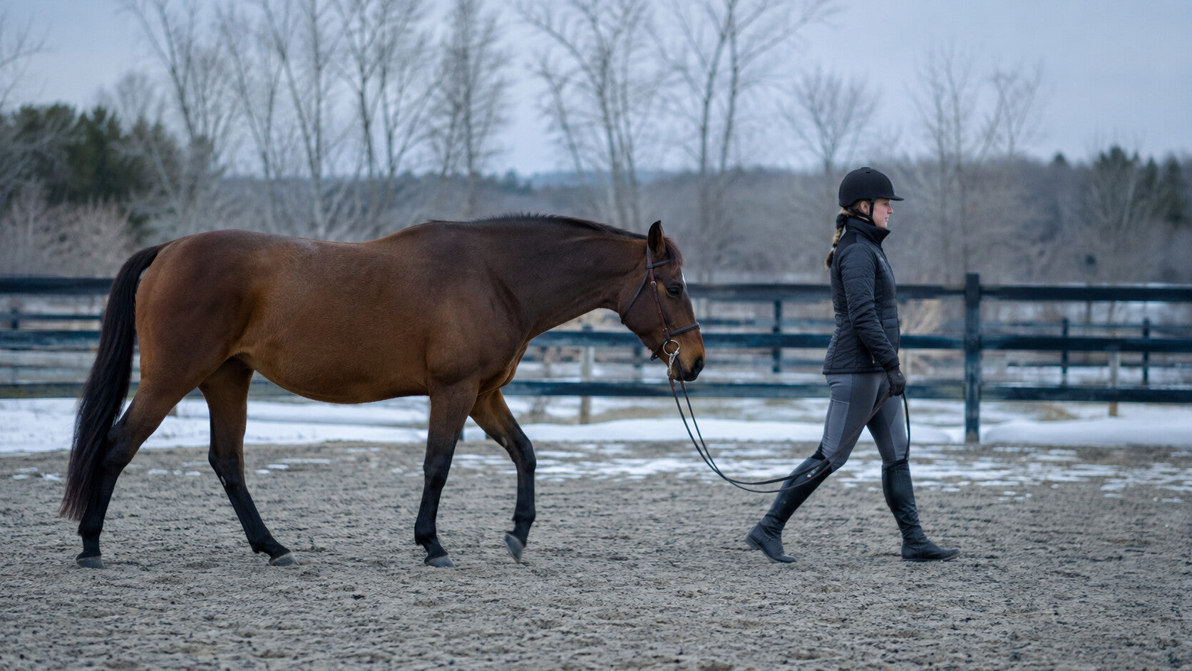 Rider walking a horse on a loose rein during a careful winter warm-up