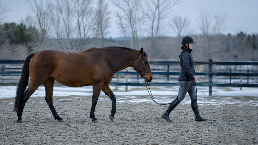 Rider walking a horse on a loose rein during a careful winter warm-up