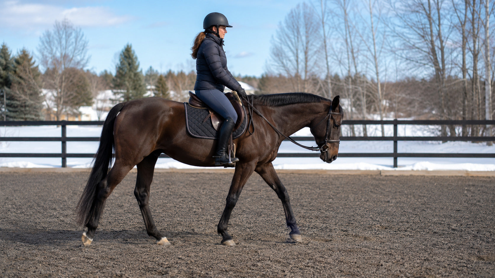 Rider beginning a winter warm-up at a relaxed walk on secure footing