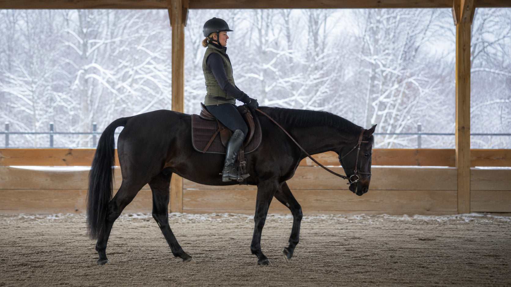 Performance horse walking on a long rein in winter