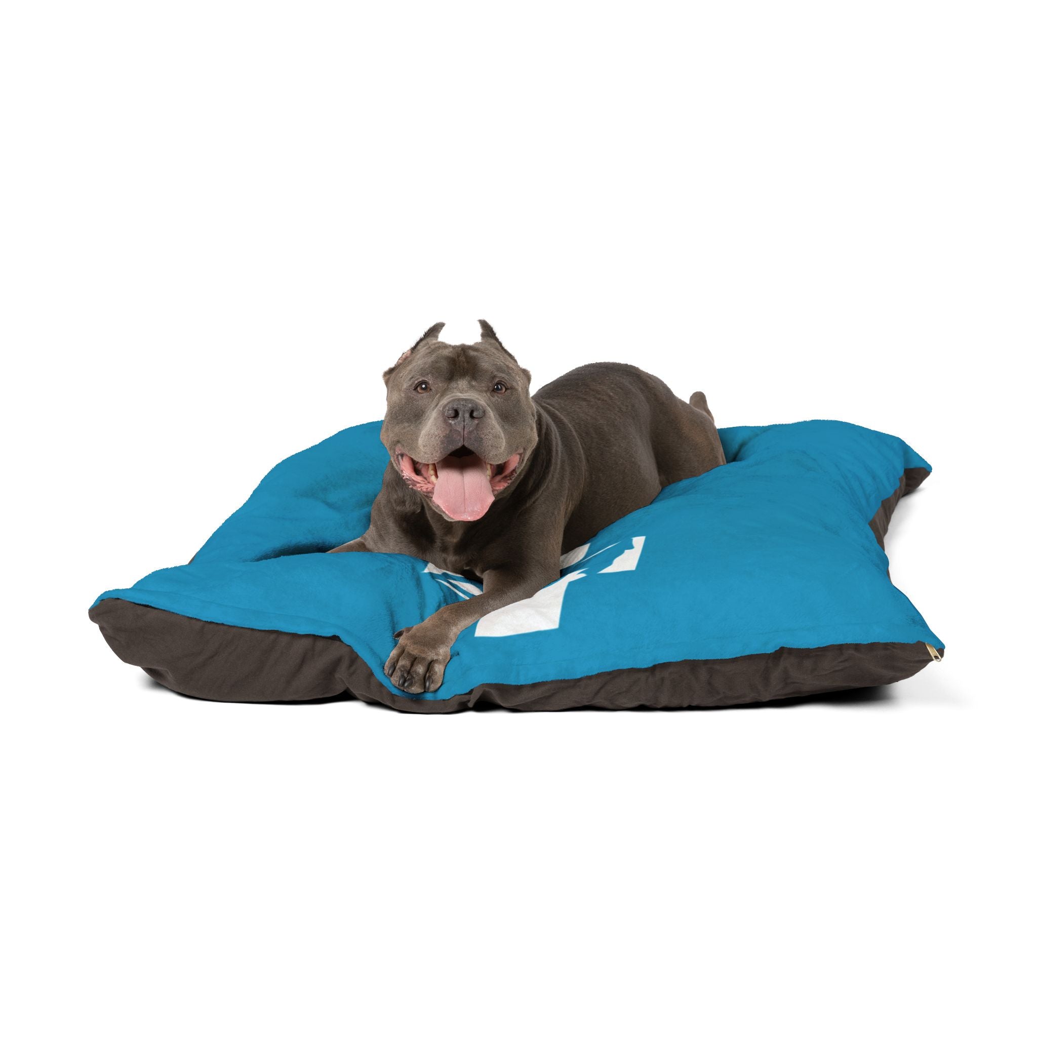 Draw It Out® Pet Bed – The Ultimate Cozy Haven for Your Furry Friend!