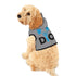 Draw It Out® Pet Hoodie – Cozy, Stylish & Perfect for Every Occasion!