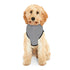 Draw It Out® Pet Hoodie – Cozy, Stylish & Perfect for Every Occasion!