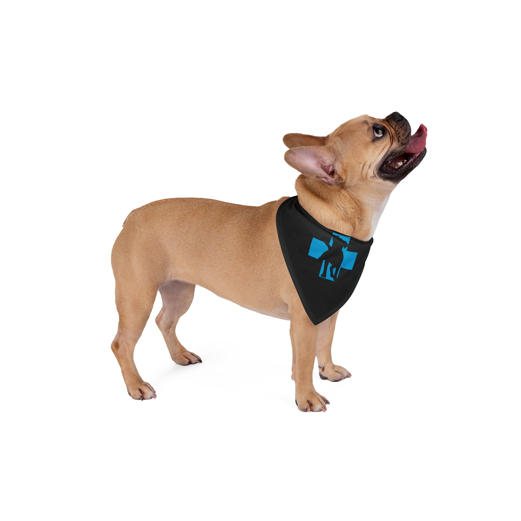 Draw It Out® Pet Bandana – Style & Comfort for Your Furry Friend!