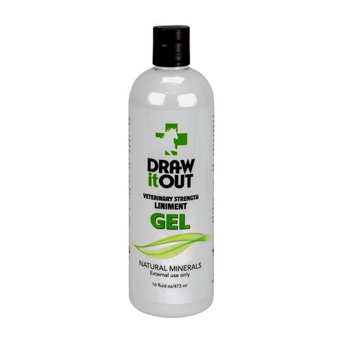Draw It Out® 16oz Liniment Gel | Daily Horse Care