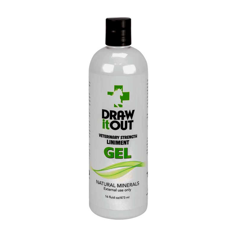 Draw It Out® 16oz High Potency Gel — odorless, colorless liniment for horses that delivers powerful swelling and soreness relief without heat or irritation