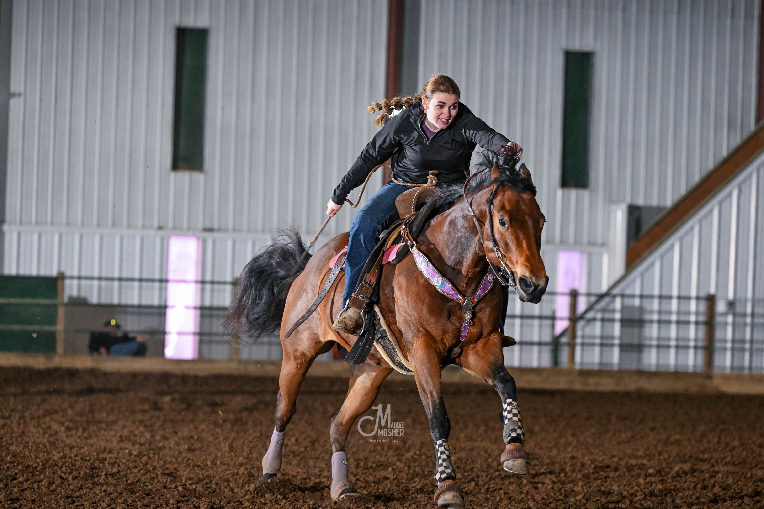 Horse under saddle during early warm-up, illustrating start-of-ride stiffness and movement changes