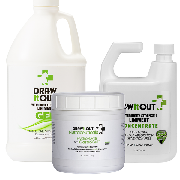 Cold-Season Recovery Pack | Draw It Out® 64oz Gel + 32oz Concentrate + Hydro-Lyte™