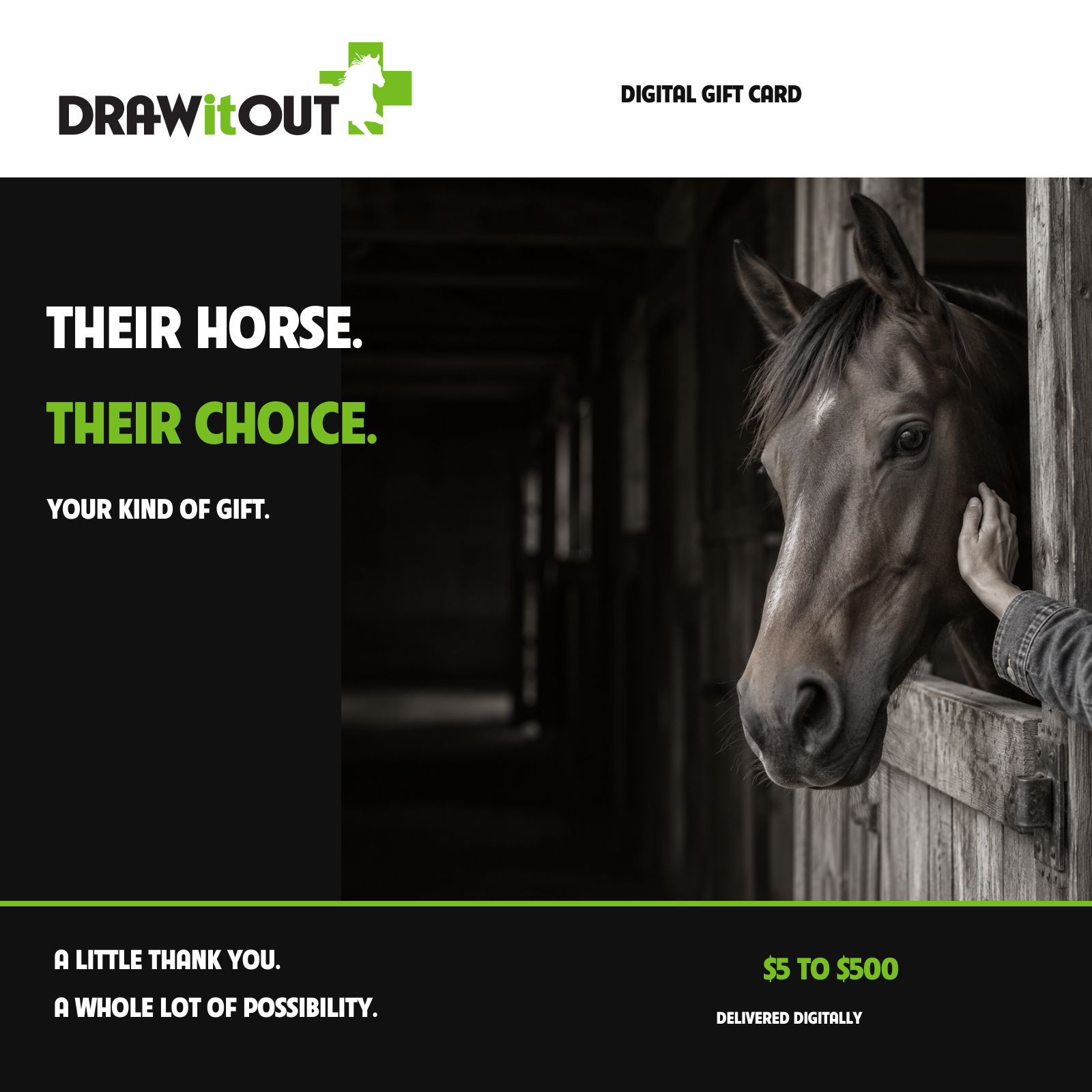 Draw It Out digital gift card. Their horse. Their choice. $5 to $500, delivered digitally.