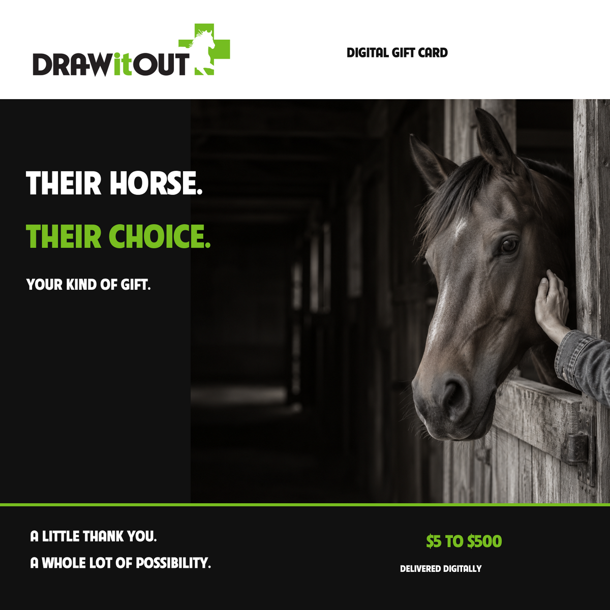Draw It Out digital gift card. Their horse. Their choice. $5 to $500, delivered digitally.