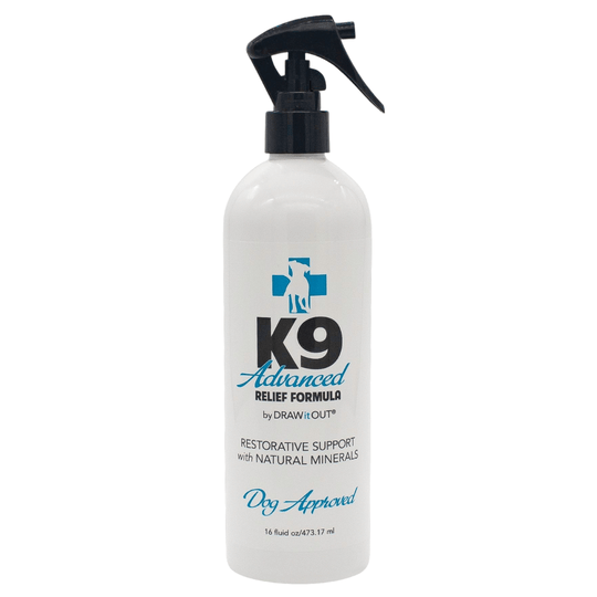 K9 Barn Dog Care Kit | Draw It Out®