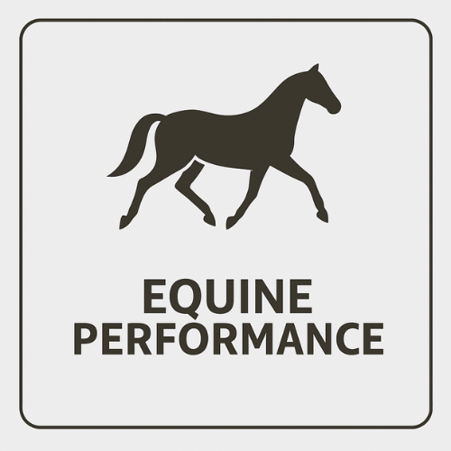 Logo with a horse silhouette and 'Equine Performance' text on a light gray background