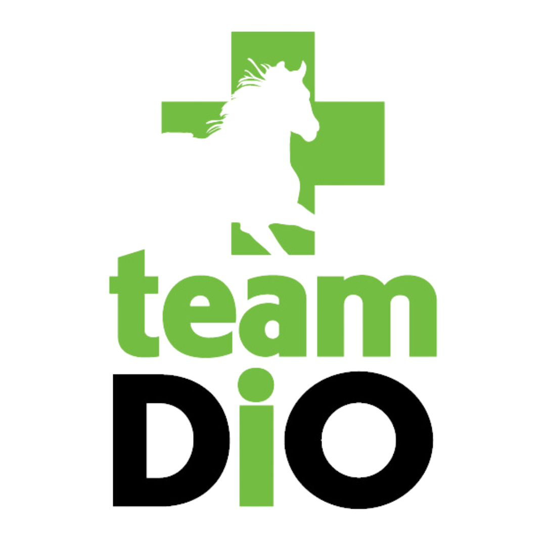 TeamDiO Iron-On Patch