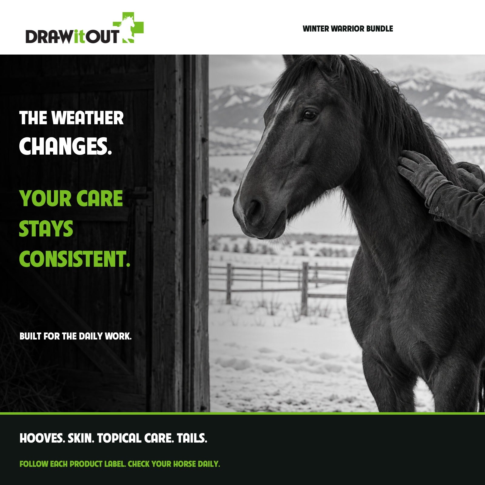 A horse at a snowy barn doorway: The weather changes. Your care stays consistent.